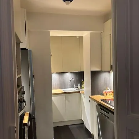 Duplex Bir-hakeim Bridge Paris